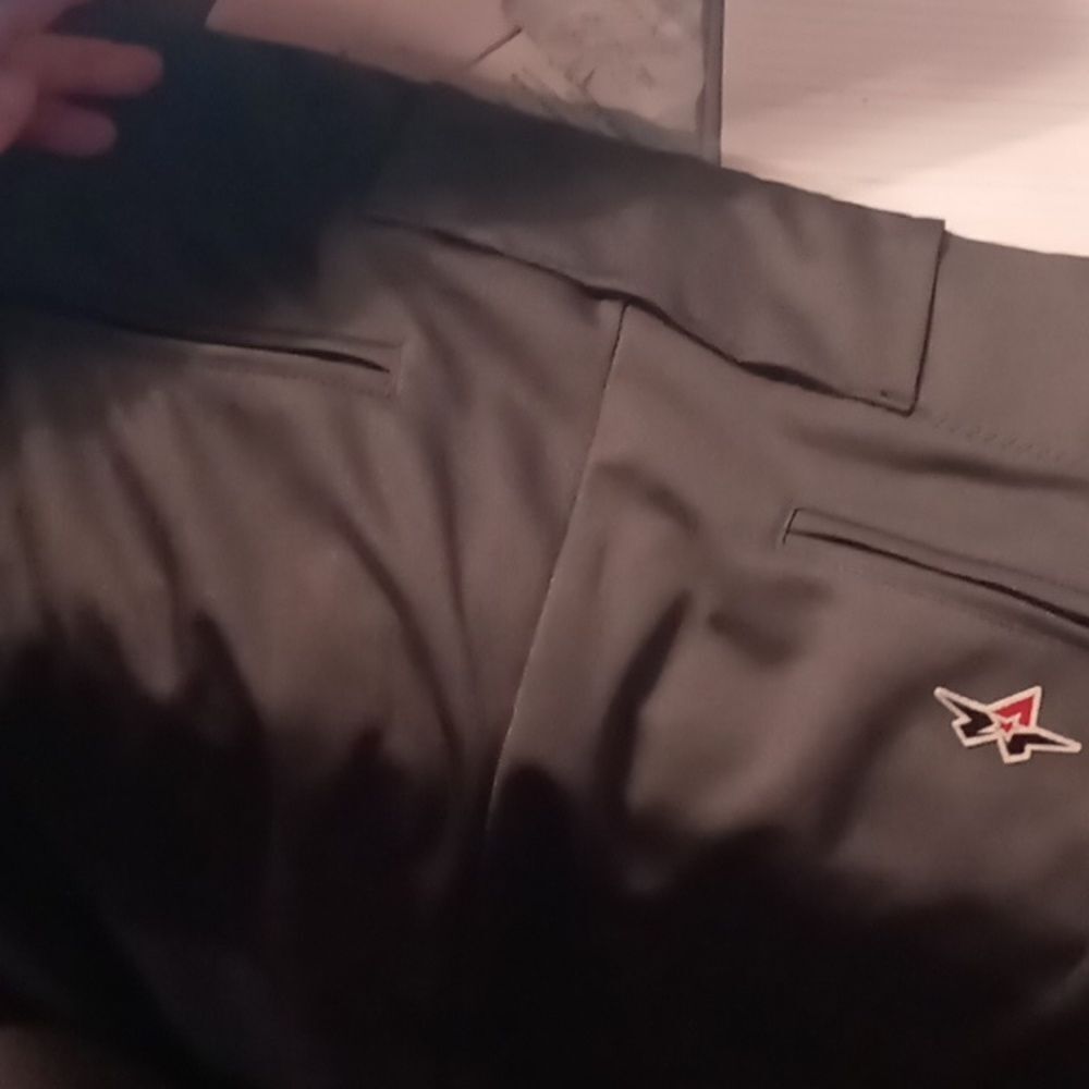 Baseball pants? - Picture 4 of 4